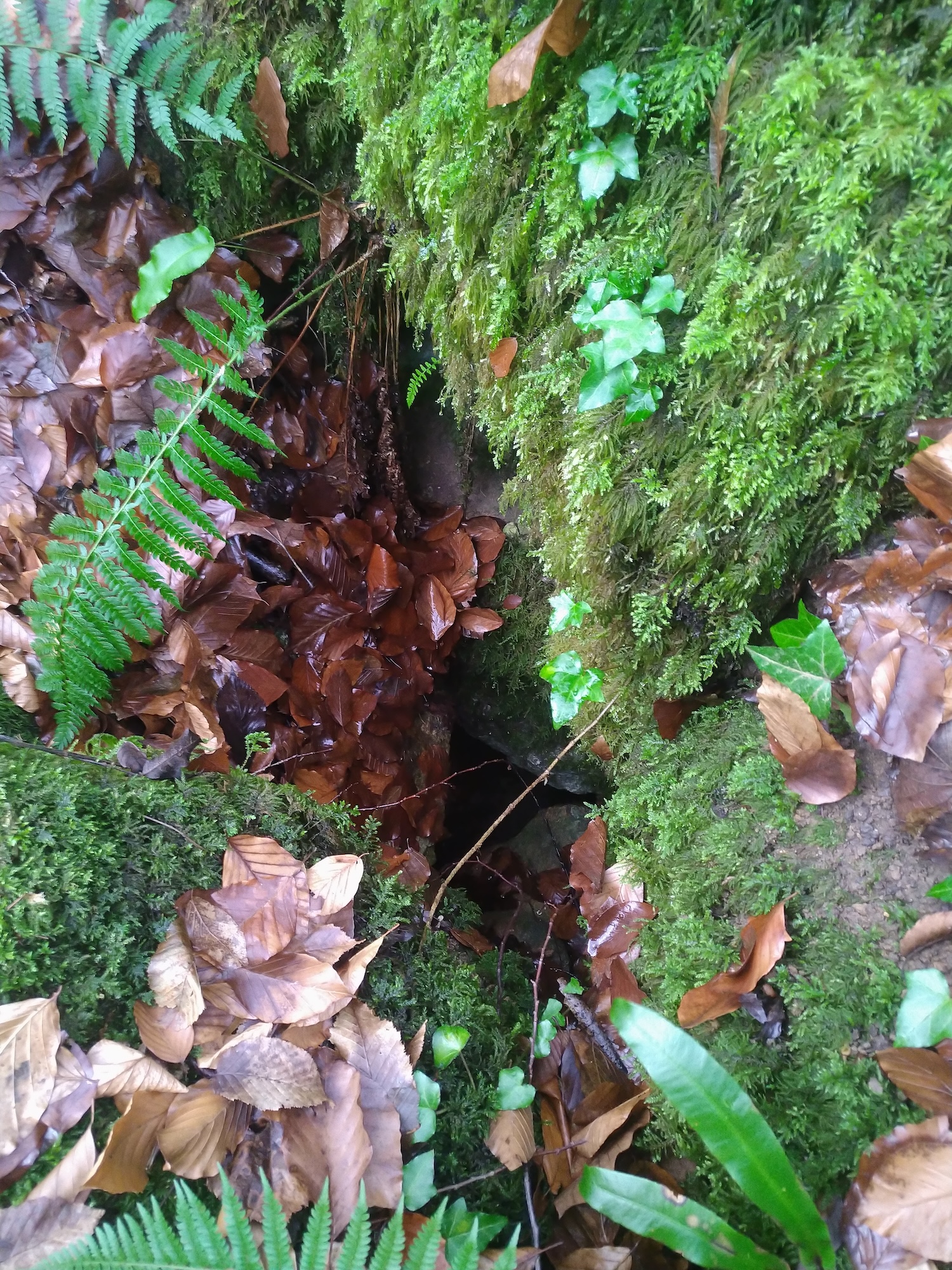 Avenul cu Bolovani - Image 1